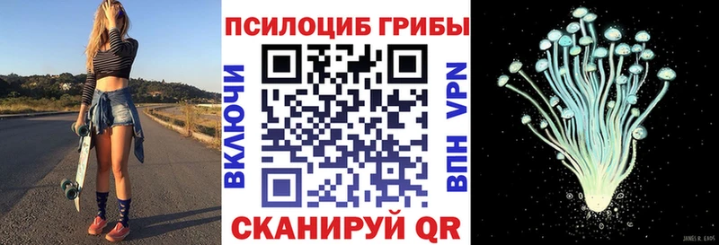 что такое   Константиновск  Галлюциногенные грибы Cubensis 